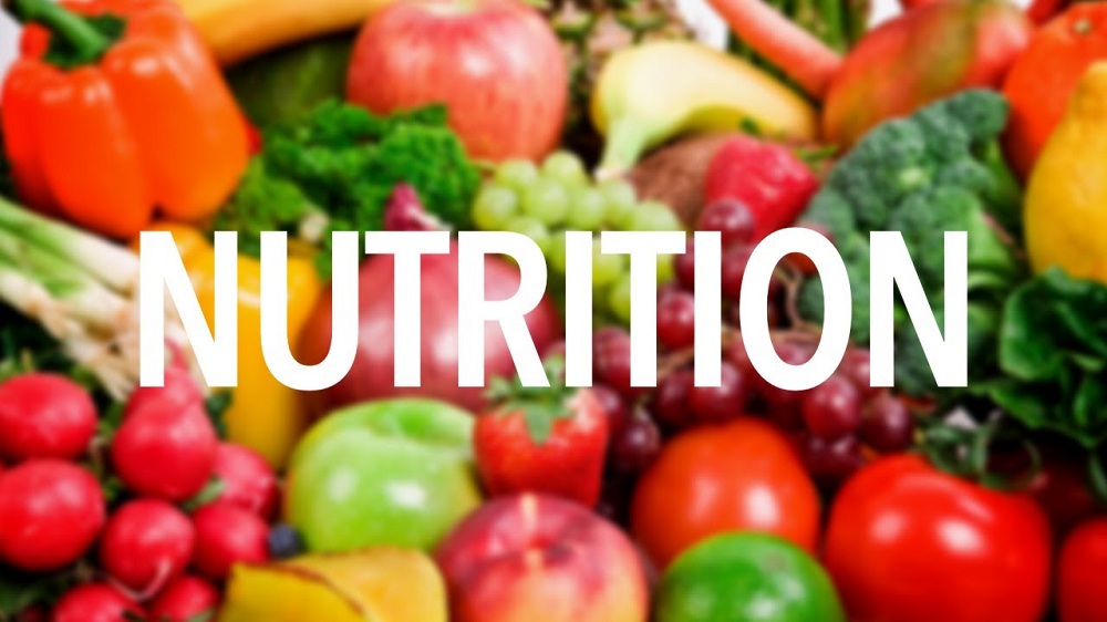 NUTRITION 101: INTRODUCTION