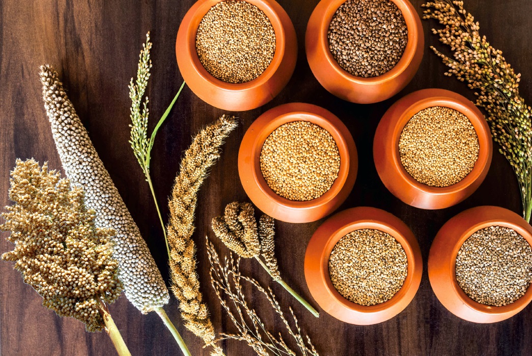 Millets in the Modern Kitchen: Creative Ways to Incorporate Millets into Your Diet